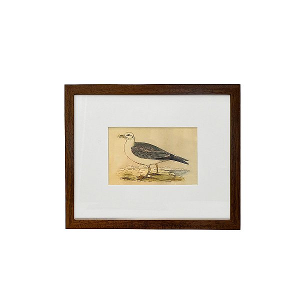 Quadro desenho de ave cinza e branca com bico amarelo