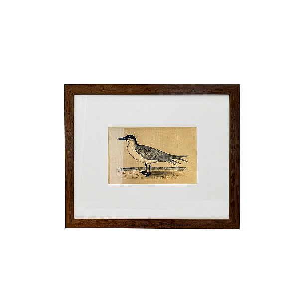 Quadro desenho de ave cinza e branca com bico preto