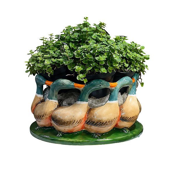 Cachepot com aplique de patos ao redor G