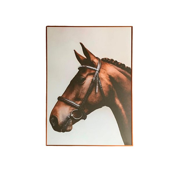 Quadro cavalo perfil (60x90cm)