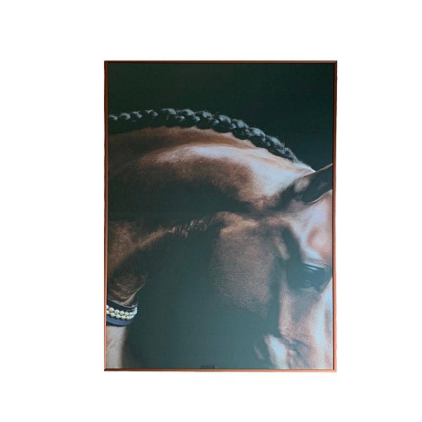 Quadro cavalo perfil fundo escuro (60x90cm)