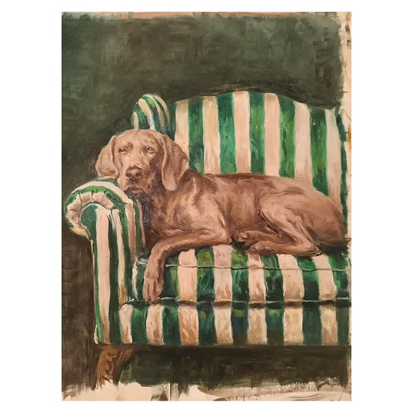 Tela cachorro no sofá listrado verde