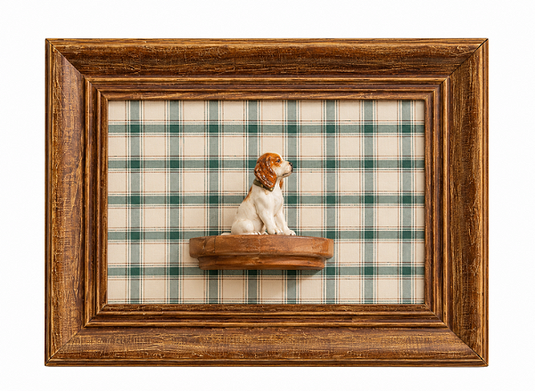 Quadro cachorro na peanha
