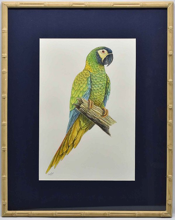 Aquarela de pássaro 3 com passpatour marinho  Zanatta Casa