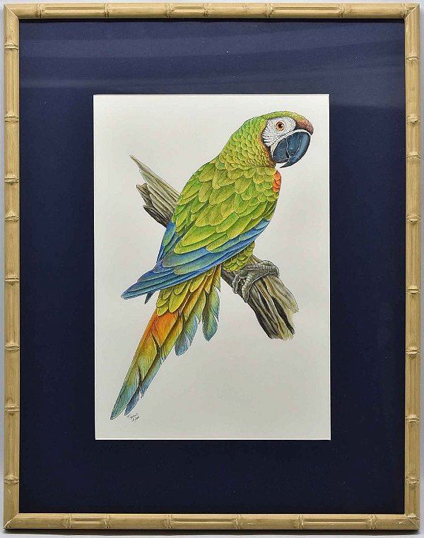 Aquarela de pássaro 12 com passpatour marinho Zanatta Casa