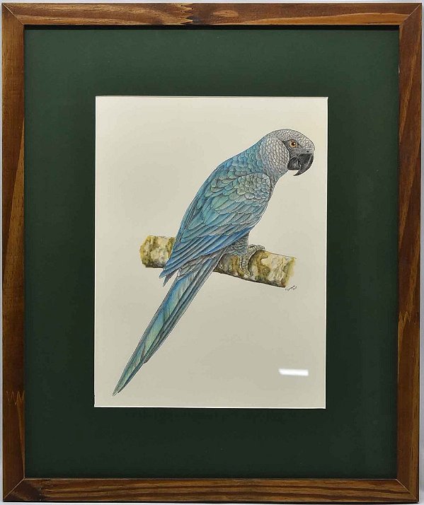 Quadro de Pássaro 2 com passpatour verde Zanatta Casa