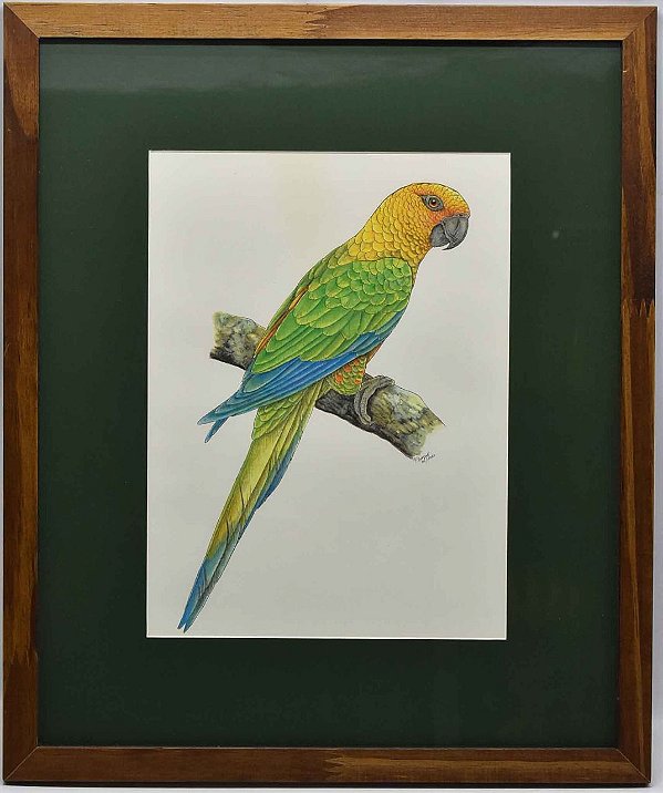 Quadro de Pássaro 4 com passpatour verde Zanatta Casa