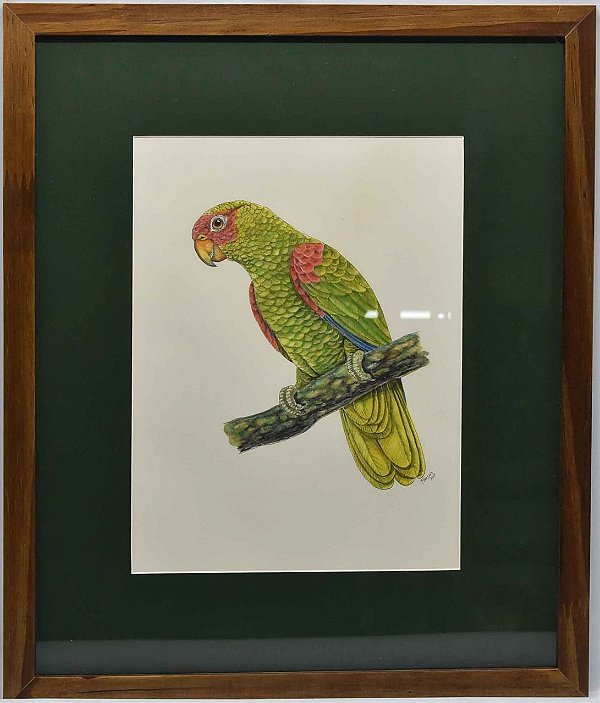 Quadro de Pássaro 5 com passpatour verde Zanatta Casa