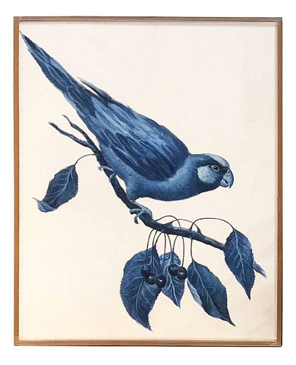 Quadro a óleo pássaro azul 3 Zanatta Casa
