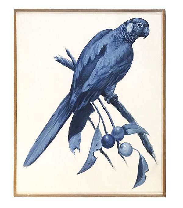 Quadro a óleo pássaro azul 5 Zanatta Casa