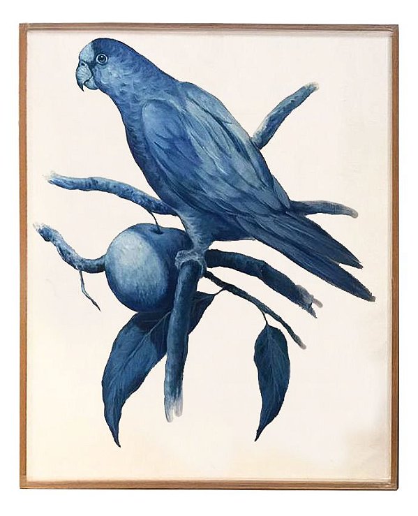 Quadro a óleo pássaro azul 6 Zanatta Casa