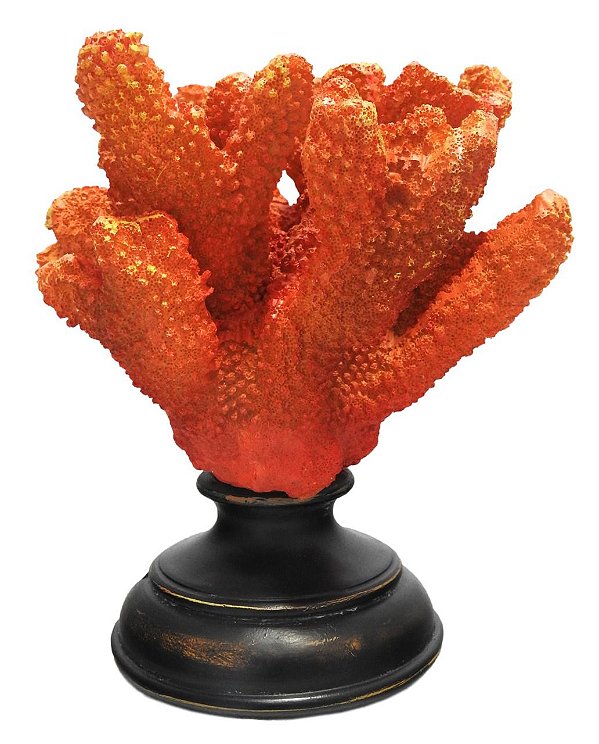 Coral com base de madeira
