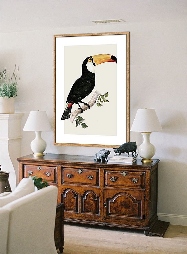 Quadro gravura tucano 90 x 1,35cm