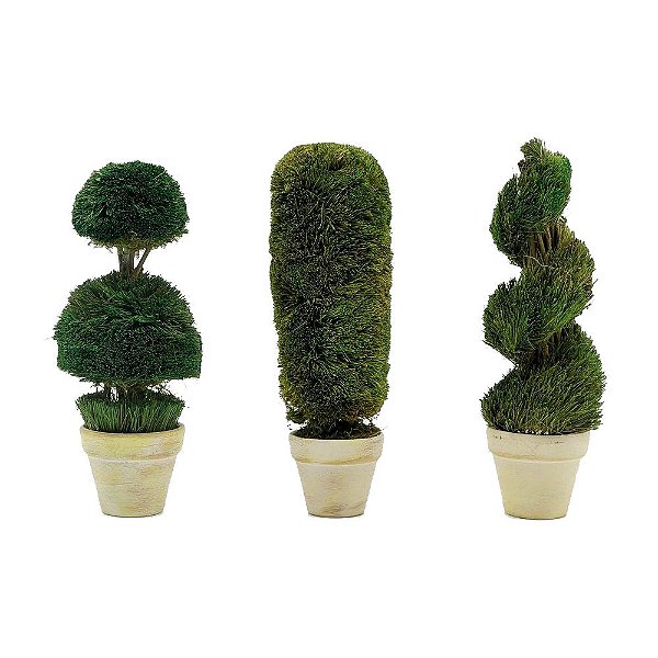 Trio de mini topiarias
