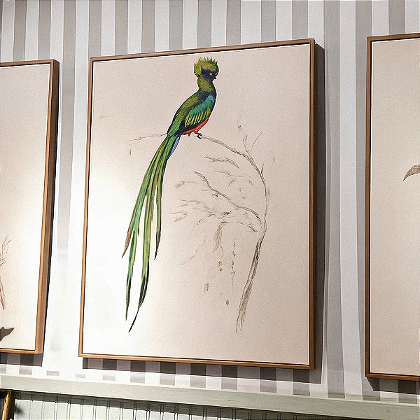 Quadro pintura a óleo pássaro cauda longa verde