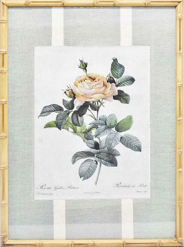Quadro gravura de rosas com moldura de faux bamboo fundo listra 4