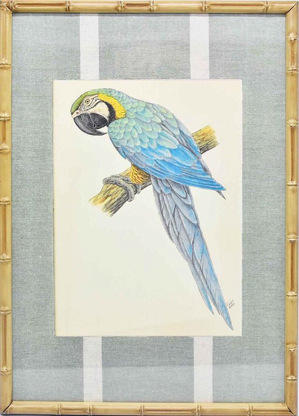 Quadro gravura pássaro com moldura de faux bamboo fundo listra 2