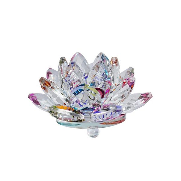 Flor de Lótus 40mm Fruta Cor