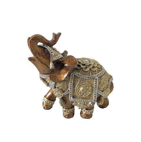 Elefante Indiano