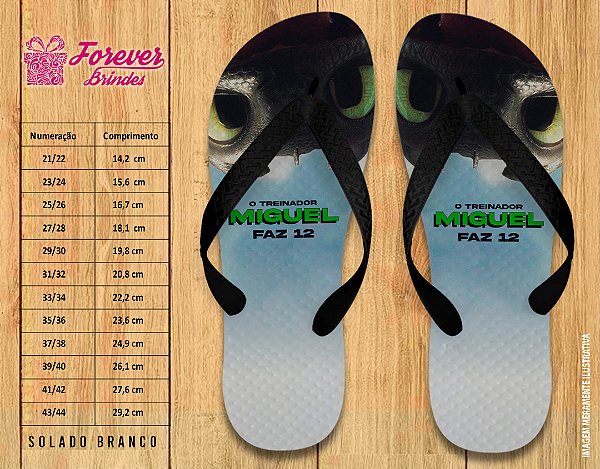 Chinelo Personalizado Aniversário Como Treinar Seu Dragão