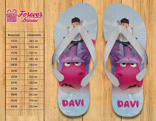 Chinelo Wish Dragon