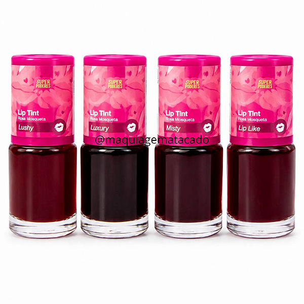 Kit 04 Unidades Lip Tint Gel Hidratante Rosa Mosqueta Super Poderes TGSP02