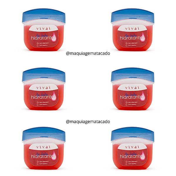 Kit 06 Unidades Lip Balm Hidratante com Vaselina Vivai 3417