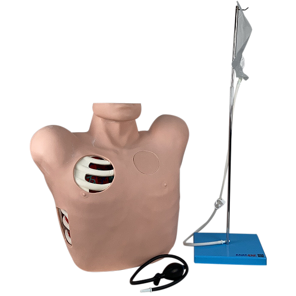 Simulador, Torso para Treino de Drenagem Pleural
