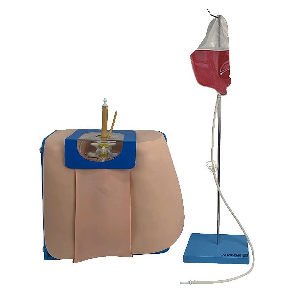 Simulador para Treino de Punção e Infusão Lombar