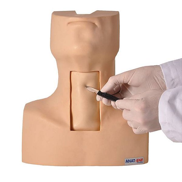 Modelo Simulador de Traqueostomia