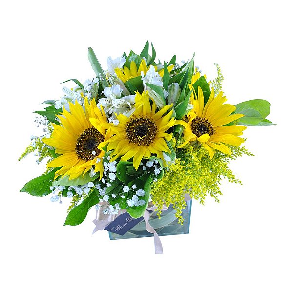 Bouquet Terrier de Girassóis