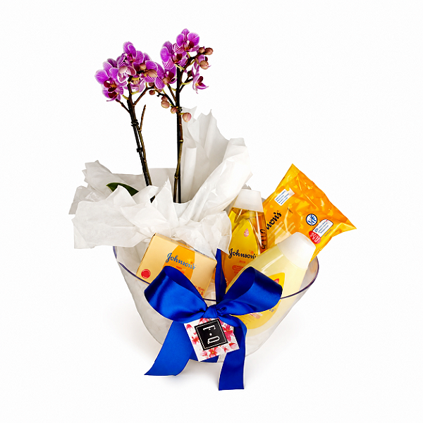Kit Mini Phalaenopsis Johnson’s para Maternidade