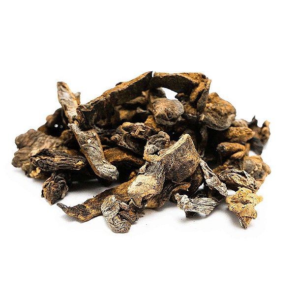 Funghi Desidratado - Rei das Castanhas