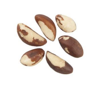 Castanha do Pará Tiny (Miudinha) - Rei das Castanhas