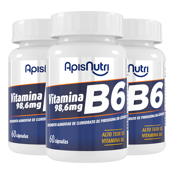 Kit 3 Vitamina B6 Apisnutri 60 cápsulas