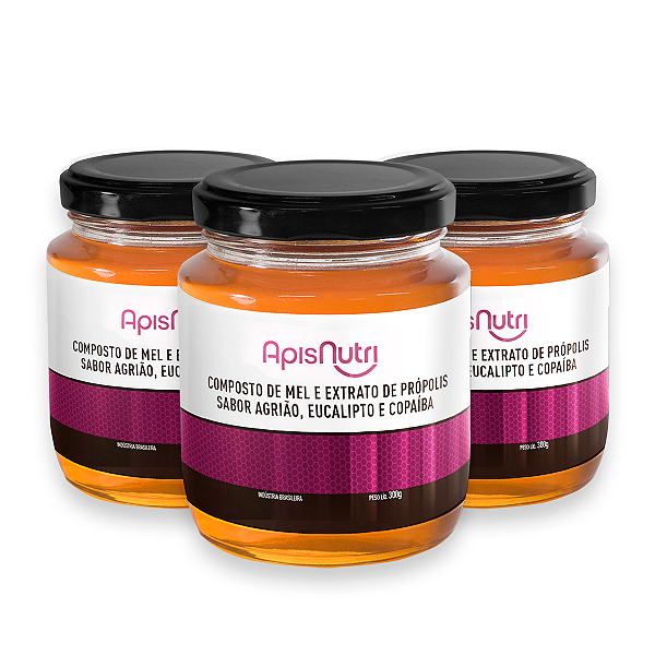 Kit 3 Composto de Mel Apisnutri Agrião, Eucalipto e Copaíba 300g