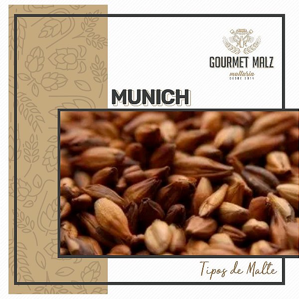 Malte Gourmet Malz Munich - 25kg Saca Fecahda