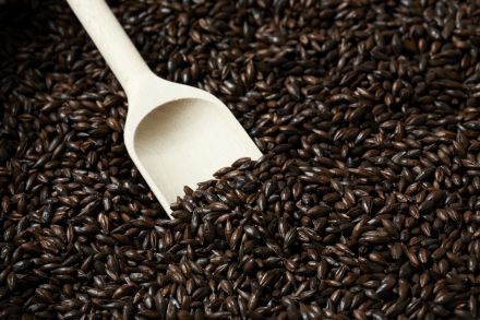 Malte The Swaen BlackSwaen© Chocolate Wheat  - 1Kg