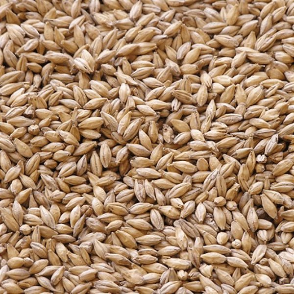 Malte Maltear Dextrina 100g