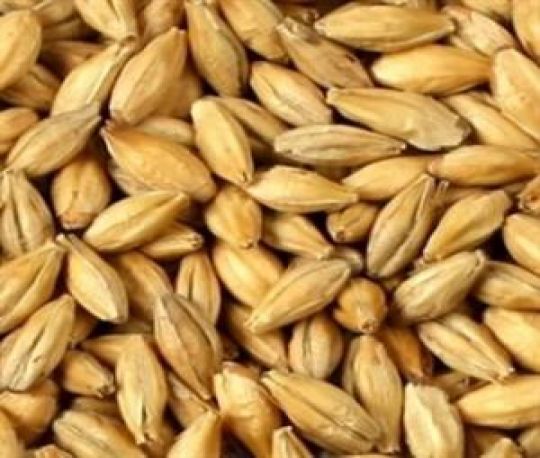 Malte Blumenau Barley Loaf - 100g