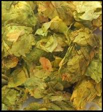 Lúpulo Barth Haas Columbus - 200g (flor)