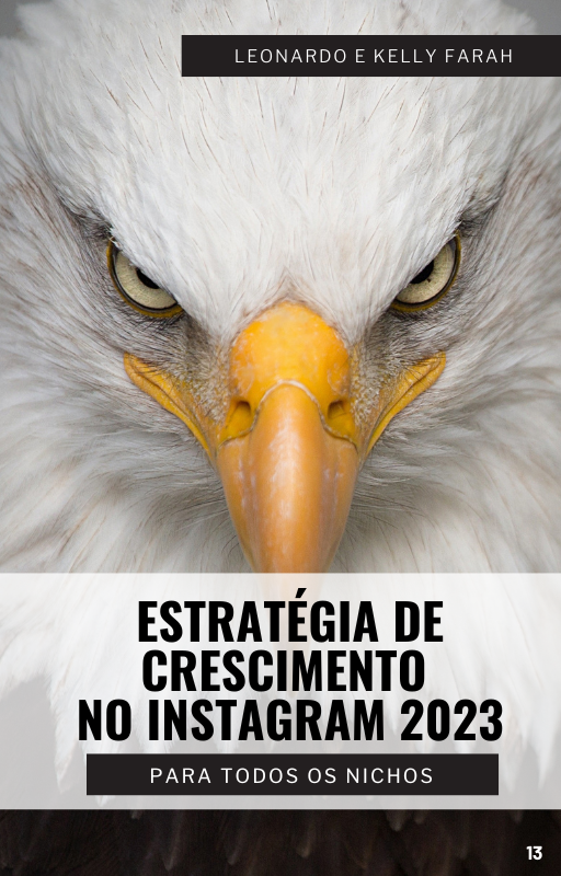 Estratégia de Crescimento no Instagram 2023: Para todos os nichos