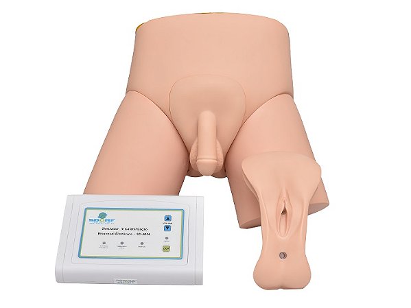 SIMULADOR DE CATETERIZAÇÃO VESICAL BISSEXUAL ELETRÔNICO