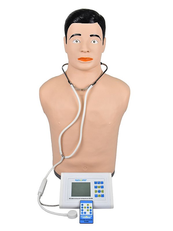 SIMULADOR DE AUSCULTA CARDIOPULONAR C/ CONTROLE