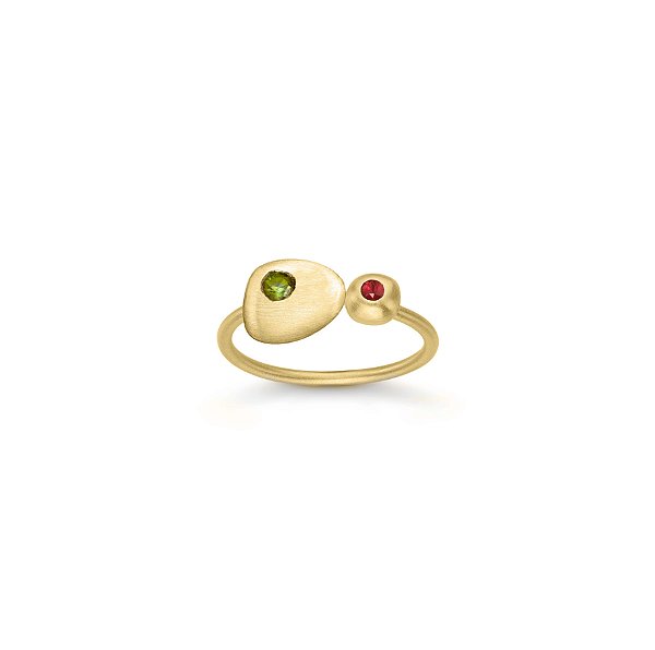 ANEL DOIS AFETOS EM BANHO DE OURO 18k