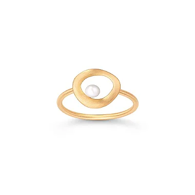 ANEL NINHO EM BANHO OURO 18K