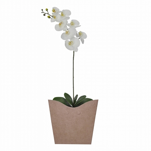 172 - Orquídea branca