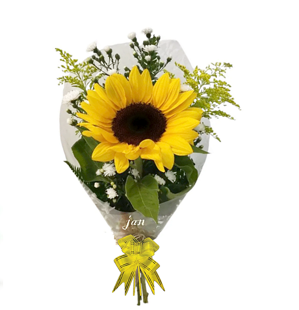 105 - Girassol embalado