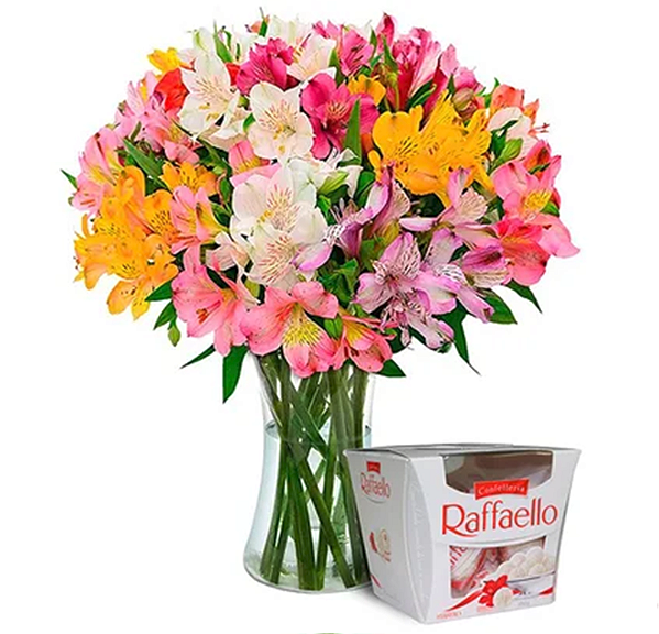 185 - Astromélias + Bombom Raffaello