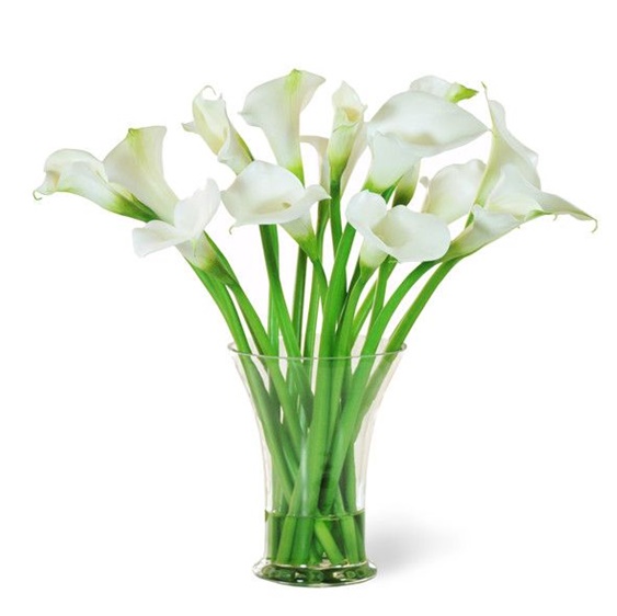 1034 - Jarro com 12 copo de leite